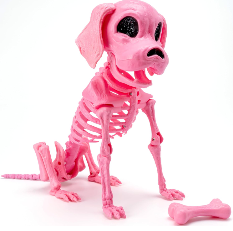 Pink skeleton puppy decoration seated beside a pink bone on a white background.