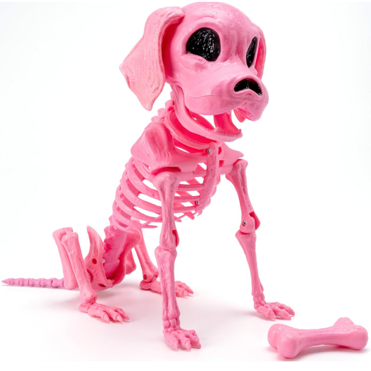 Pink skeleton puppy decoration seated beside a pink bone on a white background.