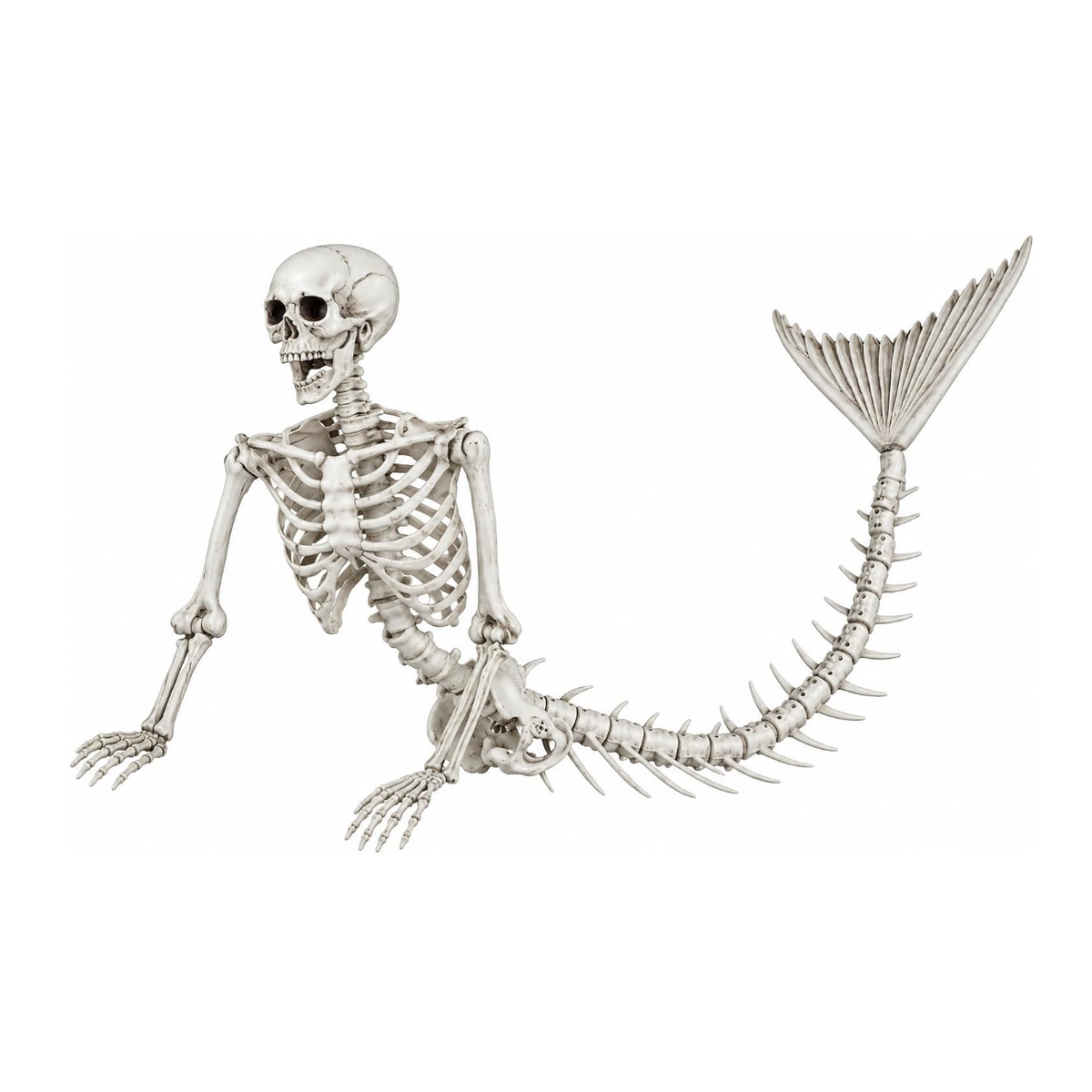 Bone-colored mermaid skeleton with a curved fish tail on a white background.
