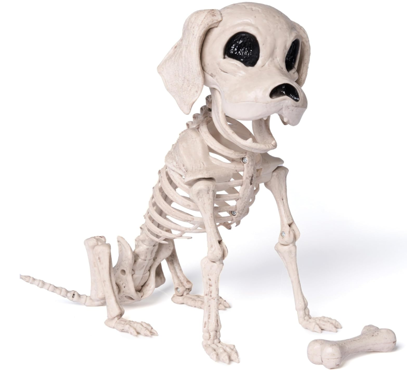 Small bone-coloured skeleton puppy seated beside a decorative bone on a white background.