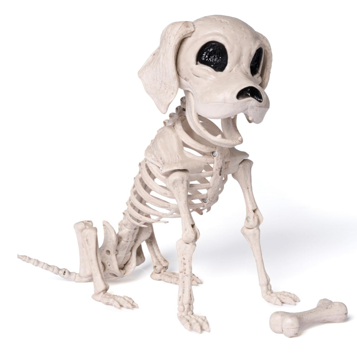 Small bone-colored skeleton puppy seated beside a decorative bone on a white background.