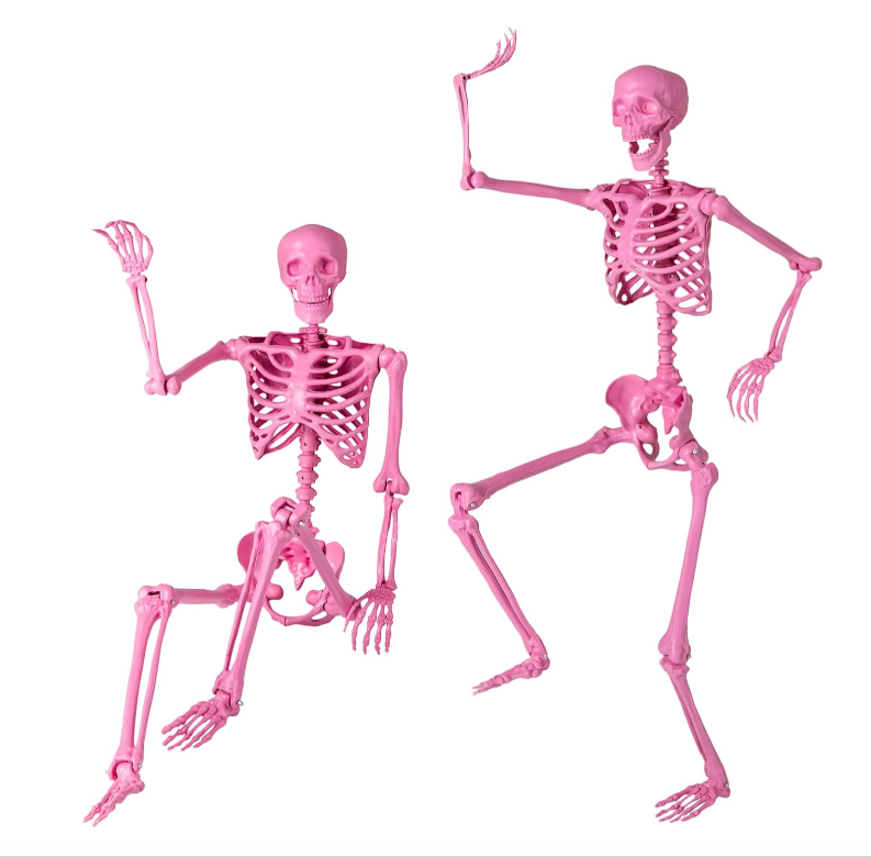 Pink posable skeleton shown in seated and standing poses on a white background.