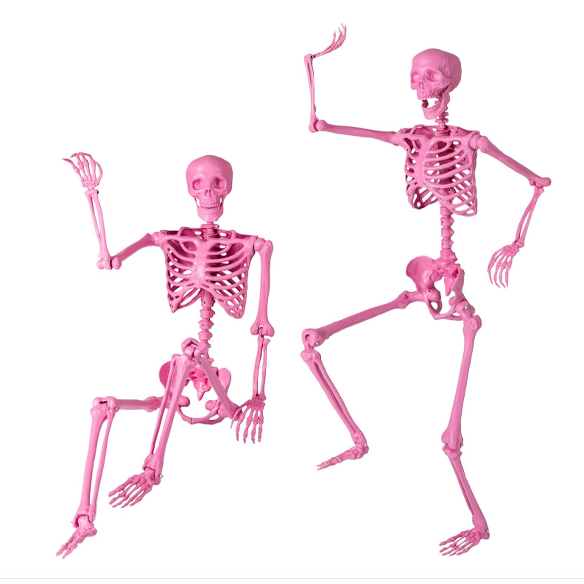 Pink posable skeleton shown in seated and standing poses on a white background.